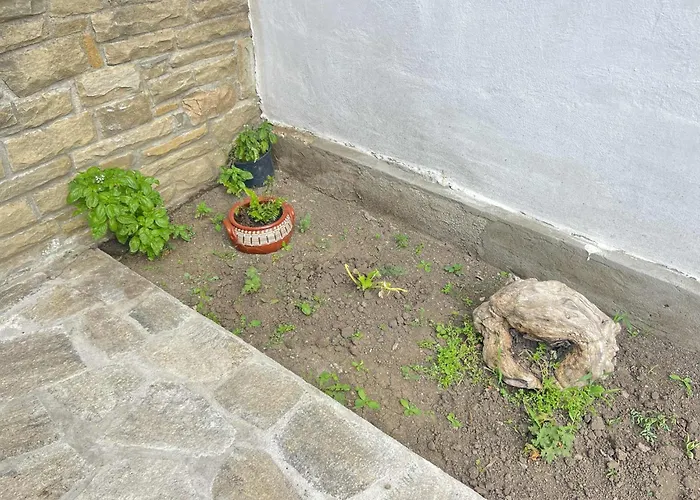 чифликъ 1 Vakantiehuis *