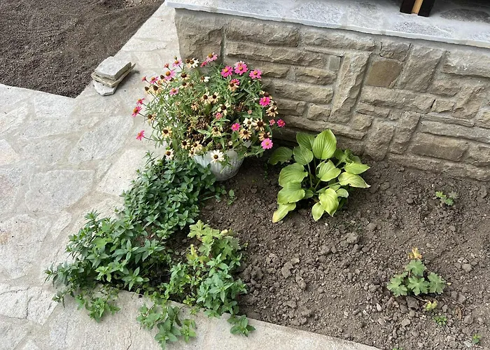 Vakantiehuis чифликъ 1 Kotel