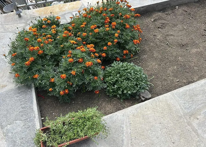 Vakantiehuis чифликъ 1 *